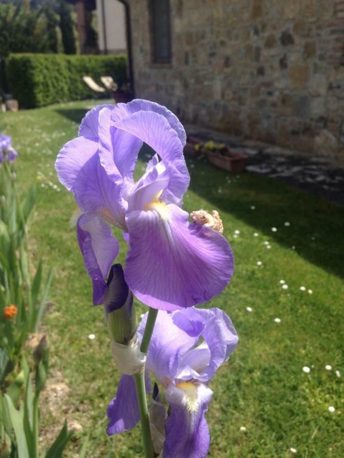 Borgo Del Molinello Villa Sant'Albino Luaran gambar